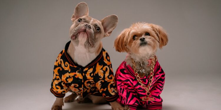 What Dog Owners Really Think About  Dog Moda?