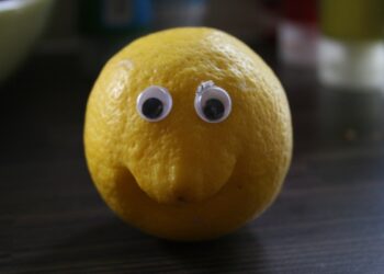 Stripe acquires payment processing startup Lemon Squeezy