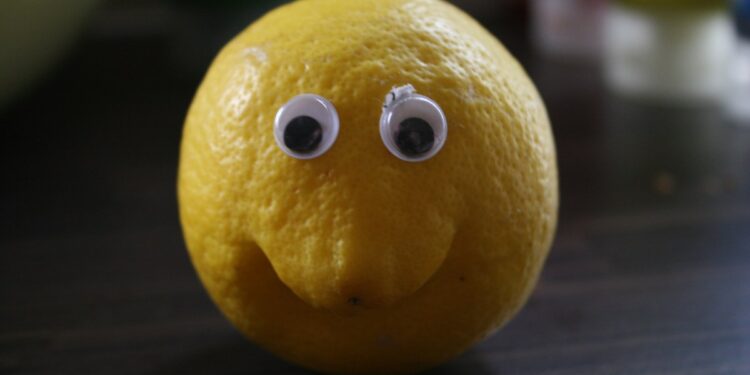 Stripe acquires payment processing startup Lemon Squeezy