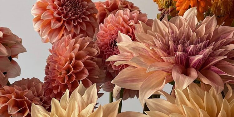 Have a Beautiful Week. | Cup of Jo