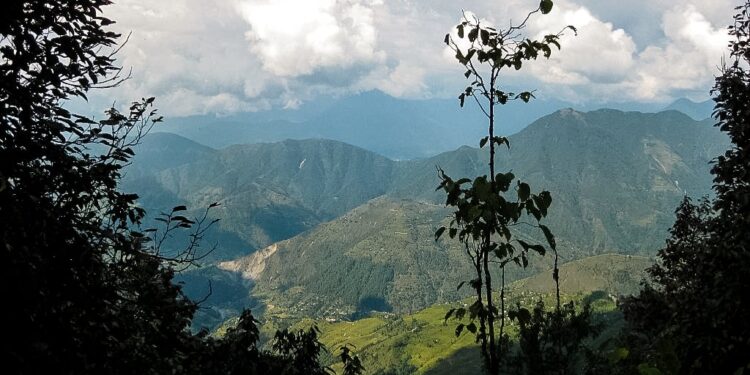Why is Shivapuri Day Hiking a causa di Nepal so Popular?