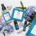 Sommità 10 best essential oil blends for yoga