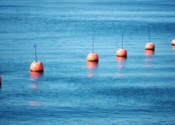 Wittaya Aqua’s data-driven AI helps seafood farmers increase aquaculture production