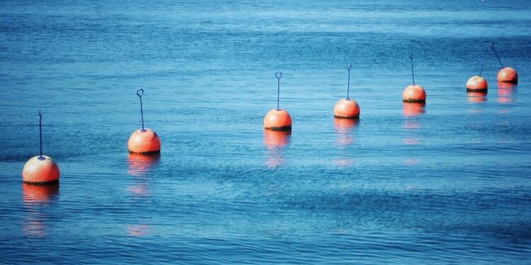 Wittaya Aqua’s data-driven AI helps seafood farmers increase aquaculture production