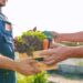Agricoltura, Band Davines prolungamento candidature ‘The Good Agricoltore Award 2024’