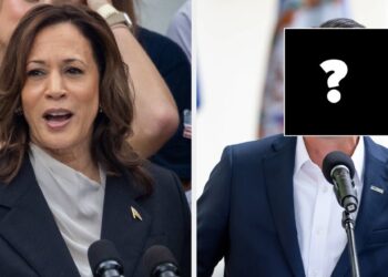 18 People Share Who Should Be Kamala Harris’ VP
