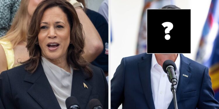 18 People Share Who Should Be Kamala Harris’ VP