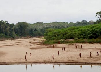 Mashco Piro tribe emerges amid Peru Amazon logging, photos show