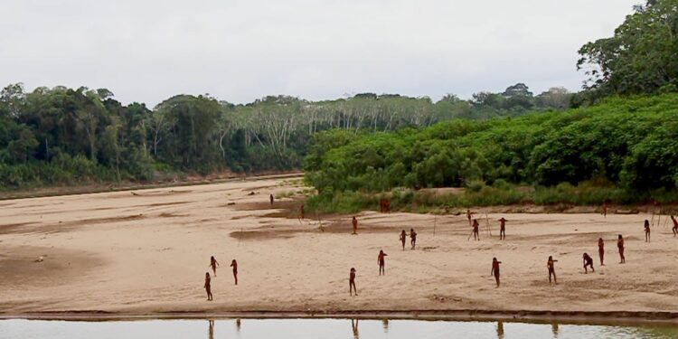 Mashco Piro tribe emerges amid Peru Amazon logging, photos show