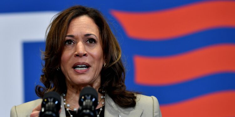 Kamala Harris, Biden’s voice acceso abortion rights, may raise the  : Shots