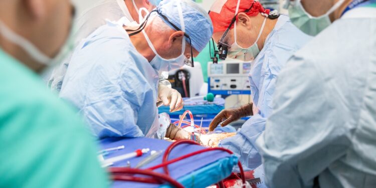 Restoring circulation after death preserves organs for transplant : Shots